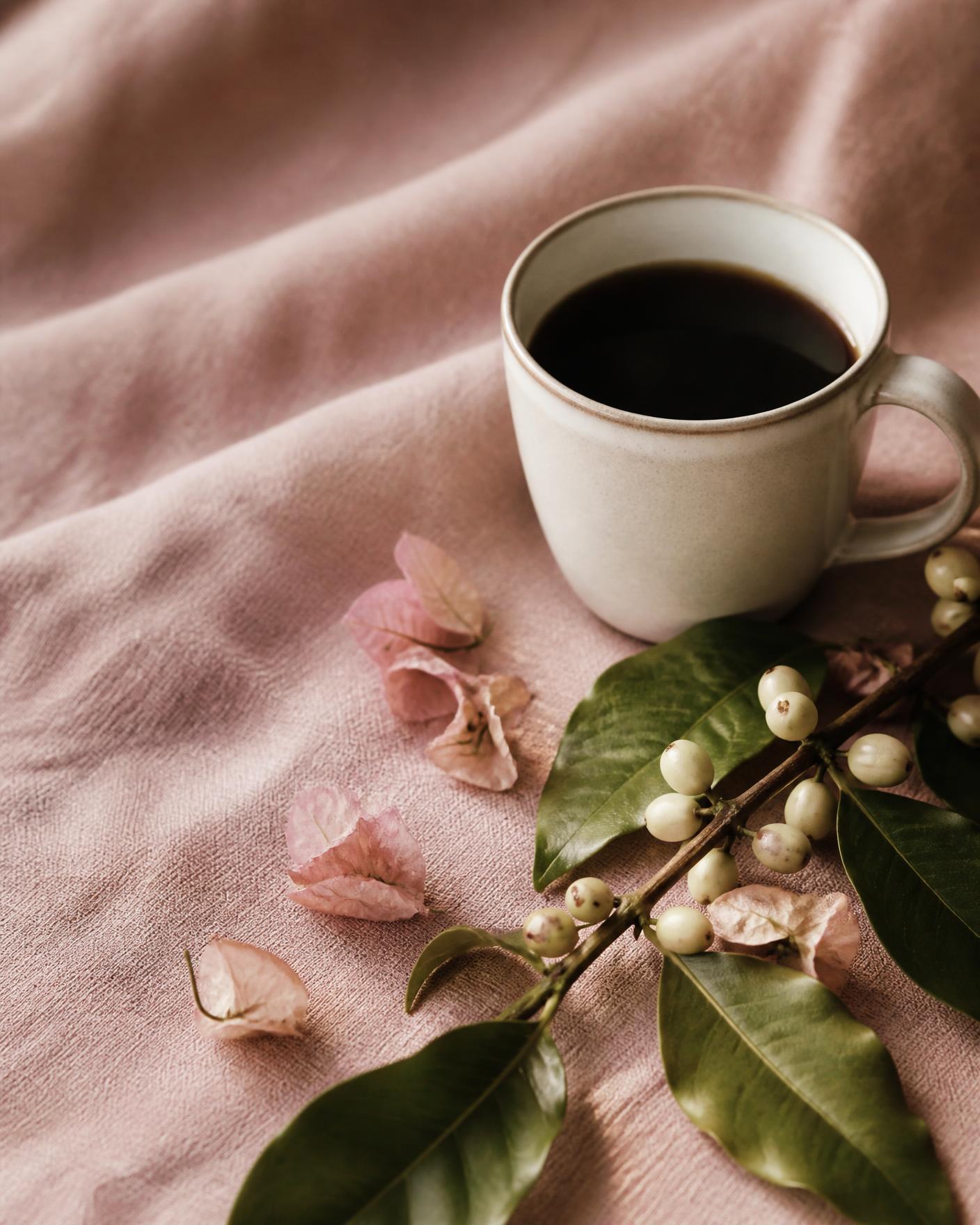 A cream cup of Kabiite coffee on dusty rose linen with a coffee branch and blush petals